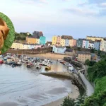 £1m Funding Boosts Animal Welfare in Wales 2026