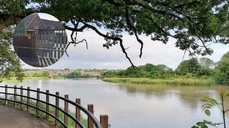 Caerleon School Kitchen Closed After Hygiene Inspection 2026