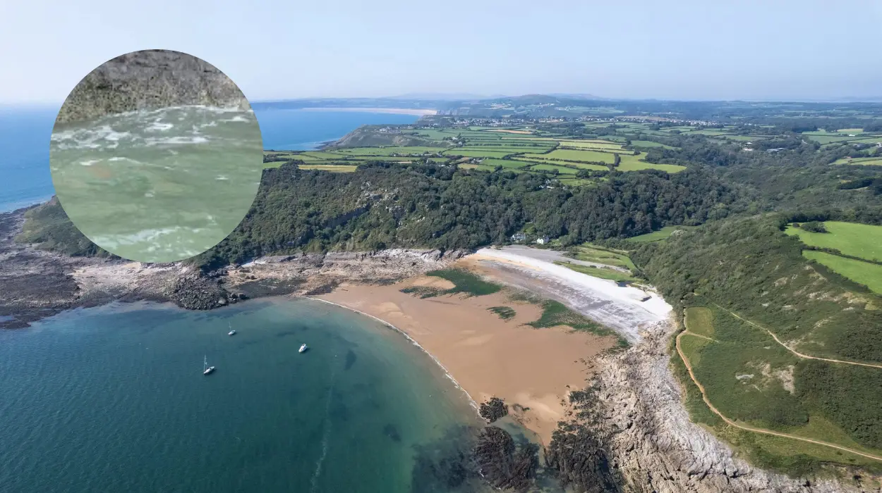 Discover Bishopston: The Timeless Charm of Gower's Hidden Gem