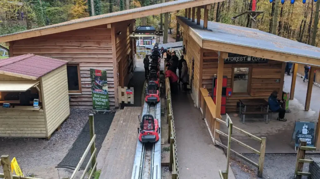 What Should You Expect When Riding the Famous Forest Coaster Wales