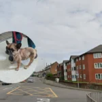 Powell Couple Banned Pets 10 Years Dog Dead Abandoned Cardiff House