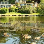 What Makes Glan Gwna Wales the Ultimate Holiday Park Destination