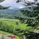 What Should You Expect When Riding the Famous Forest Coaster Wales