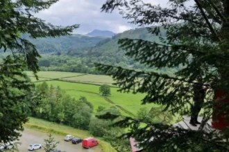 What Should You Expect When Riding the Famous Forest Coaster Wales