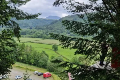 What Should You Expect When Riding the Famous Forest Coaster Wales