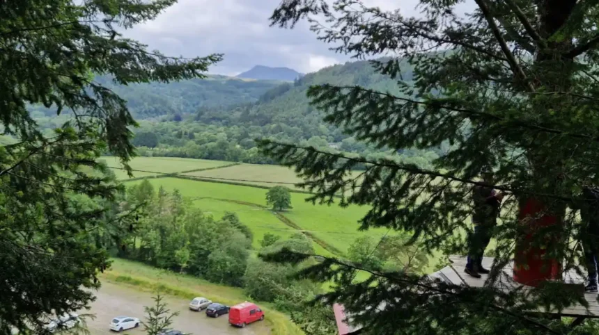 What Should You Expect When Riding the Famous Forest Coaster Wales