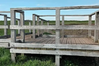Why Is the Green Bridge of Wales Considered a Geological Masterpiece