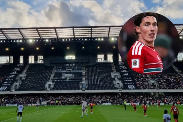 Wrexham Offers Harry Wilson Dream Contract as Fulham Winger Free Agent