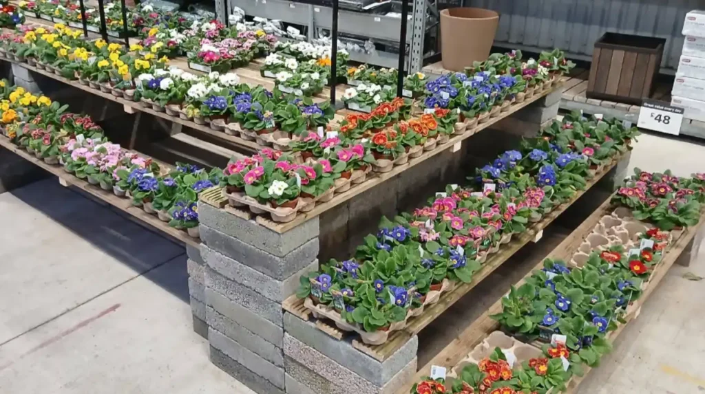 B and Q Newport Wales