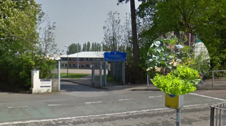 Cardiff launches climate-resilient school playground scheme