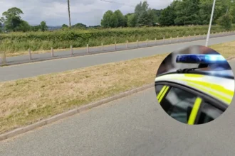 North Wales car theft charge man remanded in custody