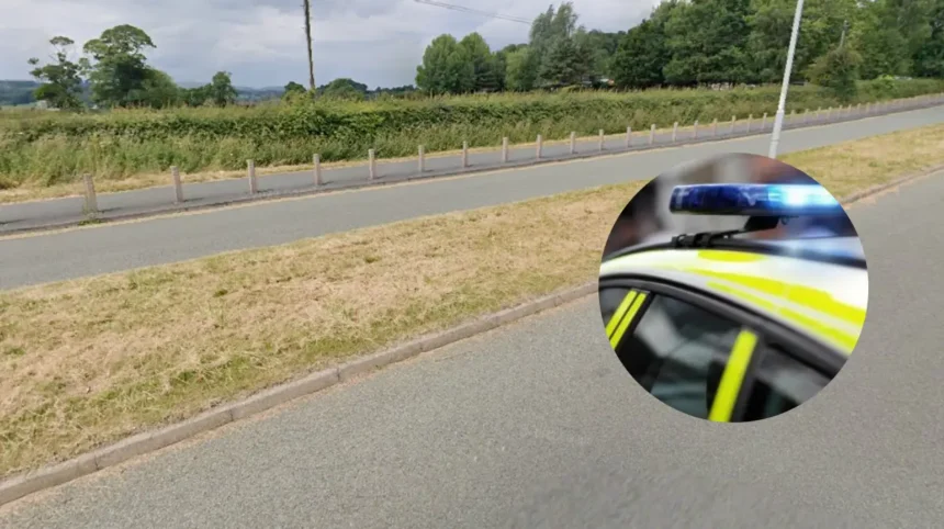 North Wales car theft charge man remanded in custody