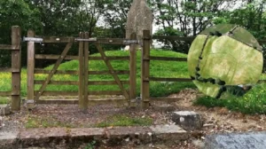 Wales Heatwave Reveals Long Hidden Historic Landscapes