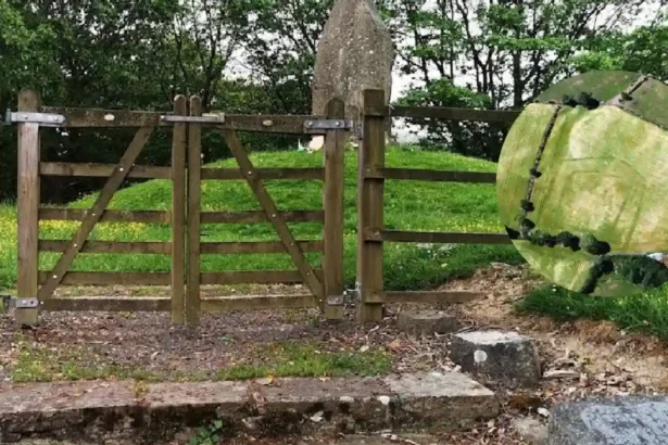 Wales Heatwave Reveals Long Hidden Historic Landscapes