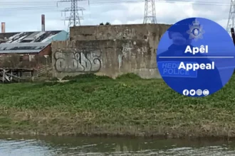 Witness Appeal After Reported Assault by Youths in Connah's Quay, Wales
