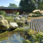 Drought Crisis England Wales July Rainfall Hits Historic Low 2026