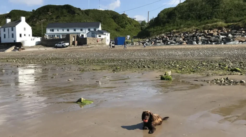 What Are the Best Jacuzzi Breaks in Wales?