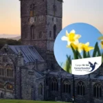 Libraries lead St David Day festivities across Carmarthenshire, Wales