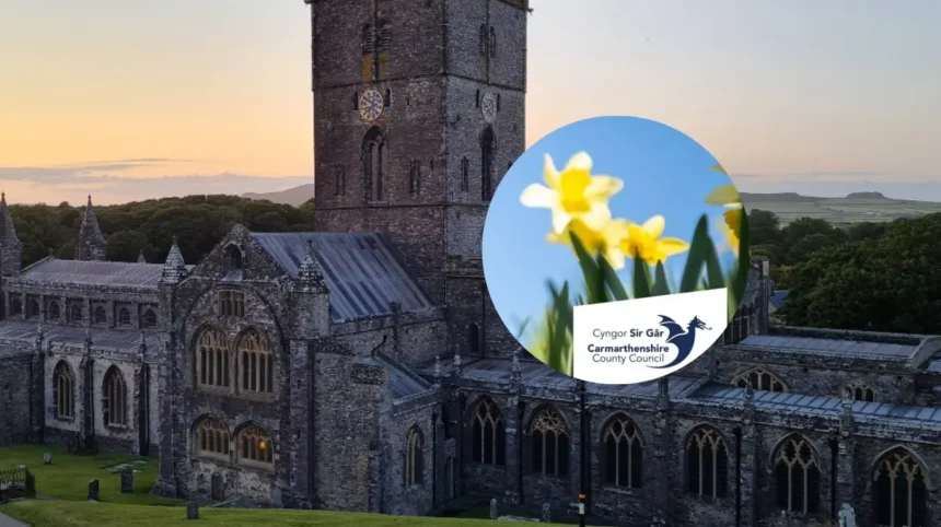 Libraries lead St David Day festivities across Carmarthenshire, Wales