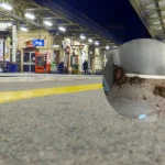 Live Crabs Let Loose on Teignmouth to Exeter Train Service