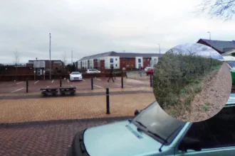 RSPCA Seeks Clues After Dog Found Dead Near Border