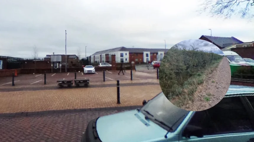 RSPCA Seeks Clues After Dog Found Dead Near Border