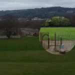 Seagull trapped in glued cardboard box in Cardiff 2026