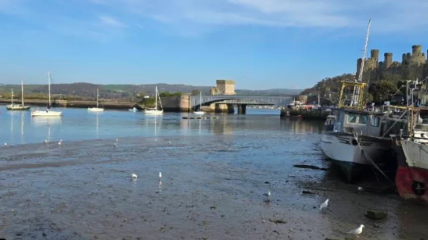 What Is Quay House Wales and Why Is It Known as the Smallest House