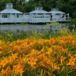 What Is the National Botanic Garden of Wales