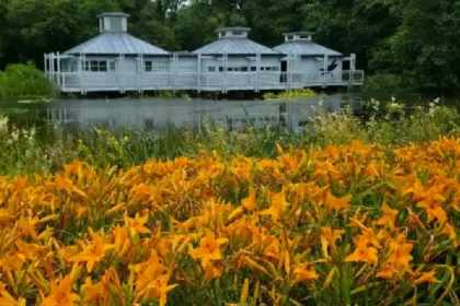 What Is the National Botanic Garden of Wales