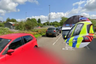 Ammanford Dog Bite Police Appeal for Witnesses