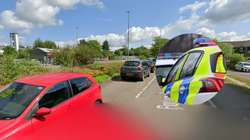 Ammanford Dog Bite Police Appeal for Witnesses