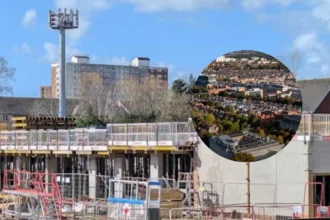Cardiff councillors attended every meeting in 12‑month period