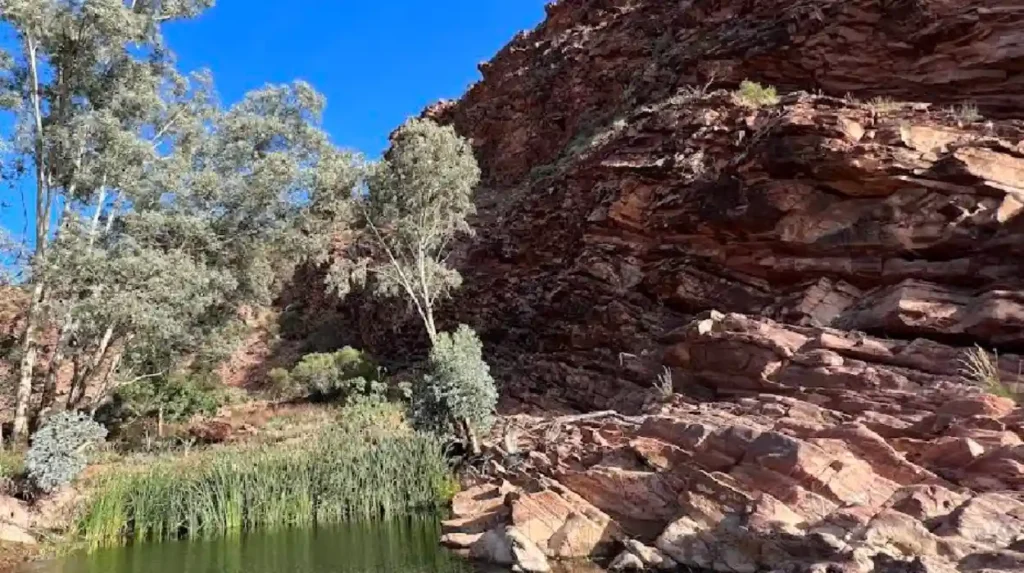 Geographic Differences Between New South Wales and South Australia
