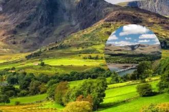 Eryri Sheep Deaths Prompt Warning to Dog Owners 2026