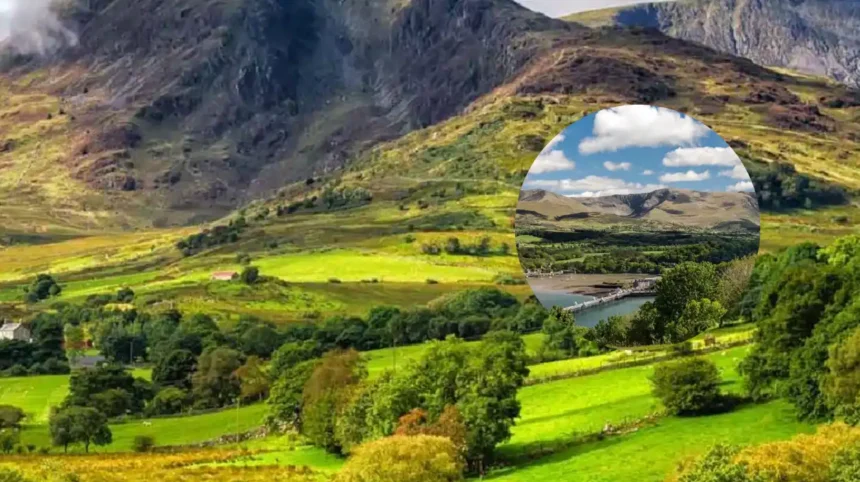 Eryri Sheep Deaths Prompt Warning to Dog Owners 2026