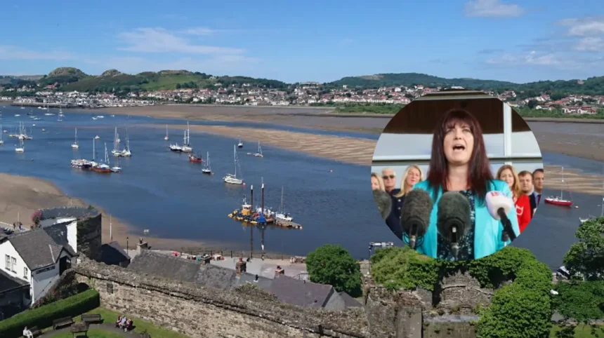 Helen Jenner named Reform UK Wales leader by Farage