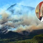 MPs demand better wildfire support for Welsh fire crews