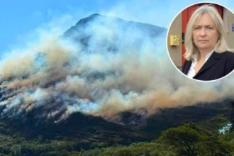 MPs demand better wildfire support for Welsh fire crews