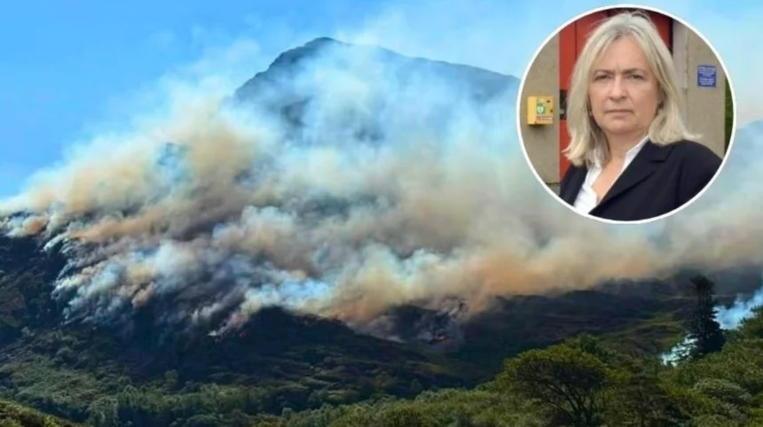 MPs demand better wildfire support for Welsh fire crews