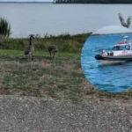 Man Rescued from Rocks After Fall in Jamestown