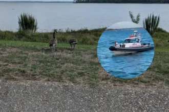 Man Rescued from Rocks After Fall in Jamestown