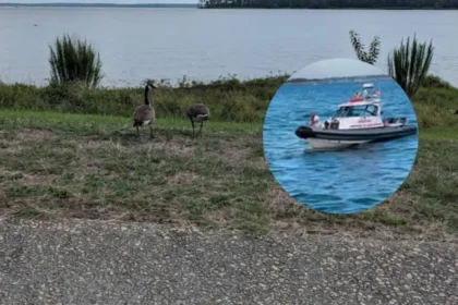 Man Rescued from Rocks After Fall in Jamestown