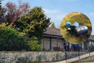 Motor oil dumped at Halkyn SSSI NRW launches appeal
