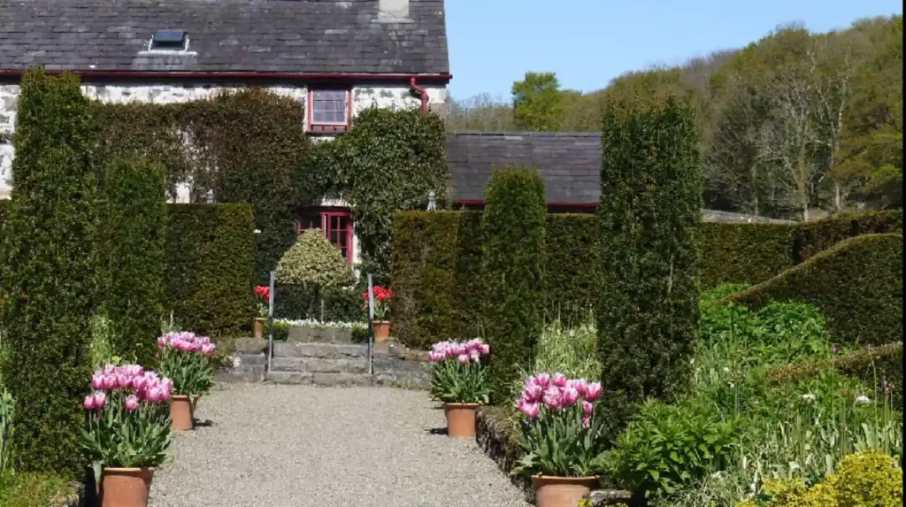 What Is the Gazelle Hotel Wales and Why Is It Famous