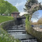Police Appeal After Screams Heard Near Cardiff Park