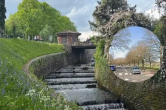 Police Appeal After Screams Heard Near Cardiff Park