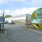Salmon crisis in Wales every monitored river classified at risk