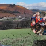 Squirrels Scouts Wales Five Years Since First Drey Opened