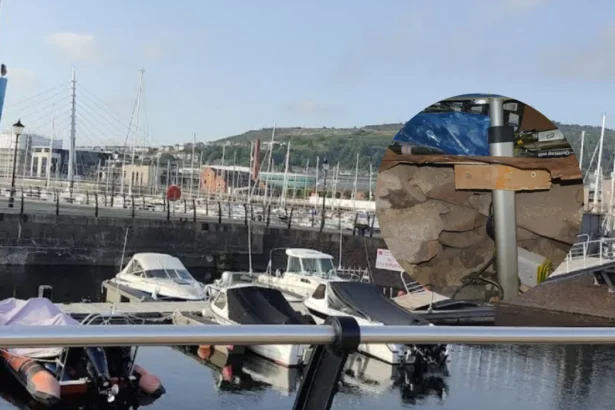 Swansea seizes £300k illegal tobacco in 2026